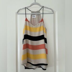 Express Striped Multicolor Top